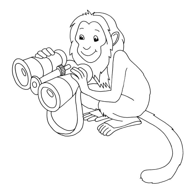 InsideView 4