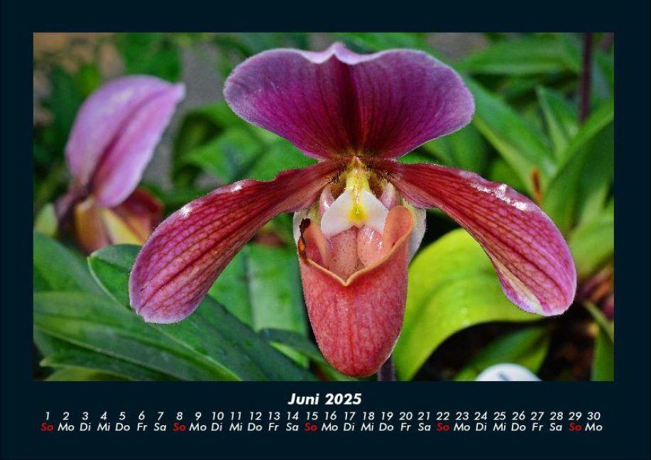 InsideView 10