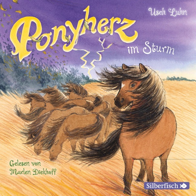 Ponyherz 14: Ponyherz im Sturm - Usch Luhn