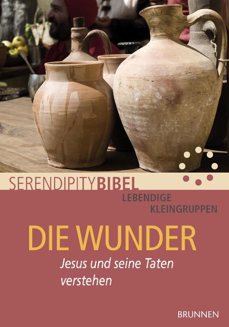 Die Wunder - Serendipity bibel