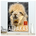 Lustige Alpakas (hochwertiger Premium Wandkalender 2024 DIN A2 hoch), Kunstdruck in Hochglanz - Peter Roder