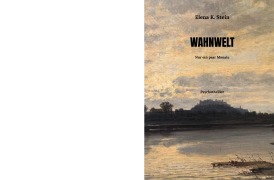 Cover-Bild zum Titel 'WAHNWELT' von 'Elena K. Stein'