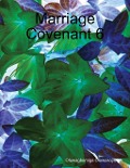 Cover-Bild zum Titel 'Marriage Covenant 6' von 'Oluwagbemiga Olowosoyo'