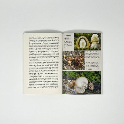 InsideView 4