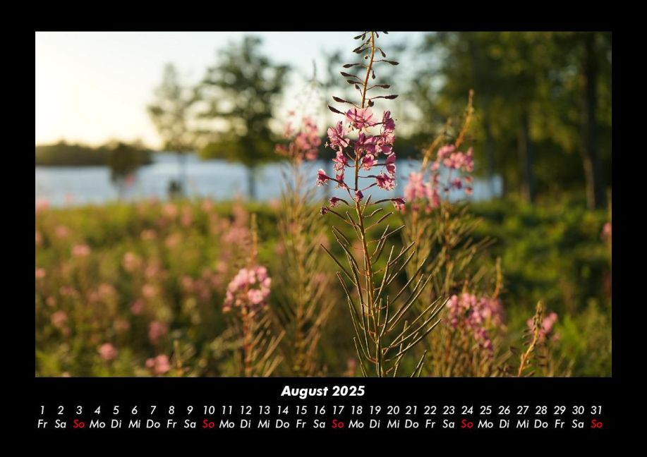 InsideView 12