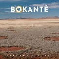 Cover-Bild zum Titel 'Strange Circles' von 'Bokante'