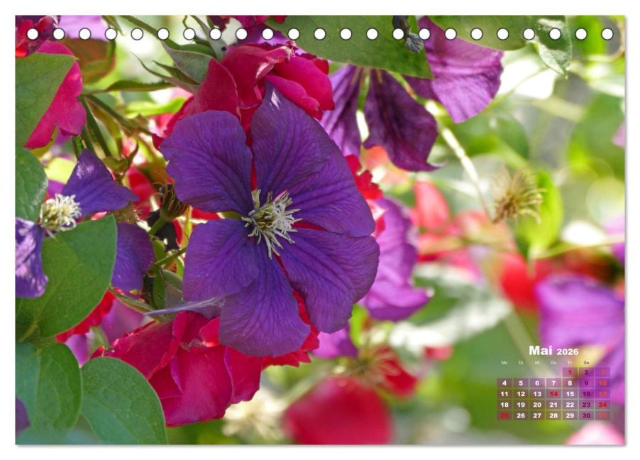 InsideView 10