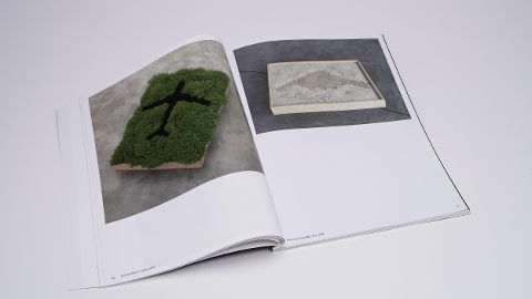 InsideView 6