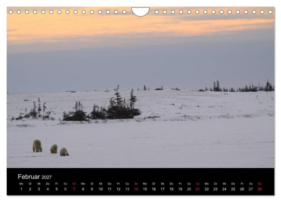 InsideView 7