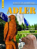 Cover-Bild zum Titel 'Schnitzen mit der Kettensäge: Adler' von 'Jamie Doeren, Dennis Roghair'