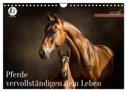 Cover-Bild zum Titel 'Pferde vervollständigen dein Leben (Wandkalender 2026 DIN A4 quer), CALVENDO Monatskalender' von 'Kerstin Waurick'