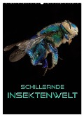 Schillernde Insektenwelt (Wandkalender 2025 DIN A2 hoch), CALVENDO Monatskalender - Renate Bleicher