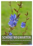 Cover-Bild zum Titel 'Schöne Wegwarten. Heimische Heilpflanzen am Wegesrand (Wandkalender 2026 DIN A2 hoch), CALVENDO Monatskalender' von 'Hanna Wagner'
