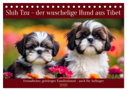 Cover-Bild zum Titel 'Shih Tzu - der wuschelige Hund aus Tibet (Tischkalender 2026 DIN A5 quer), CALVENDO Monatskalender' von 'Claudia Kleemann'
