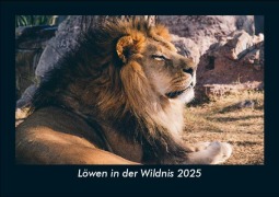 Cover-Bild zum Titel 'Löwen in der Wildnis 2025 Fotokalender DIN A5' von 'Tobias Becker'