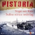Cover-Bild zum Titel 'Slaget om Kiev ¿ Stalins största nederlag' von 'Orage'
