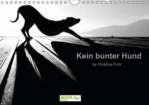Kein bunter Hund (Wandkalender immerwährend DIN A4 quer) - Christine Frick