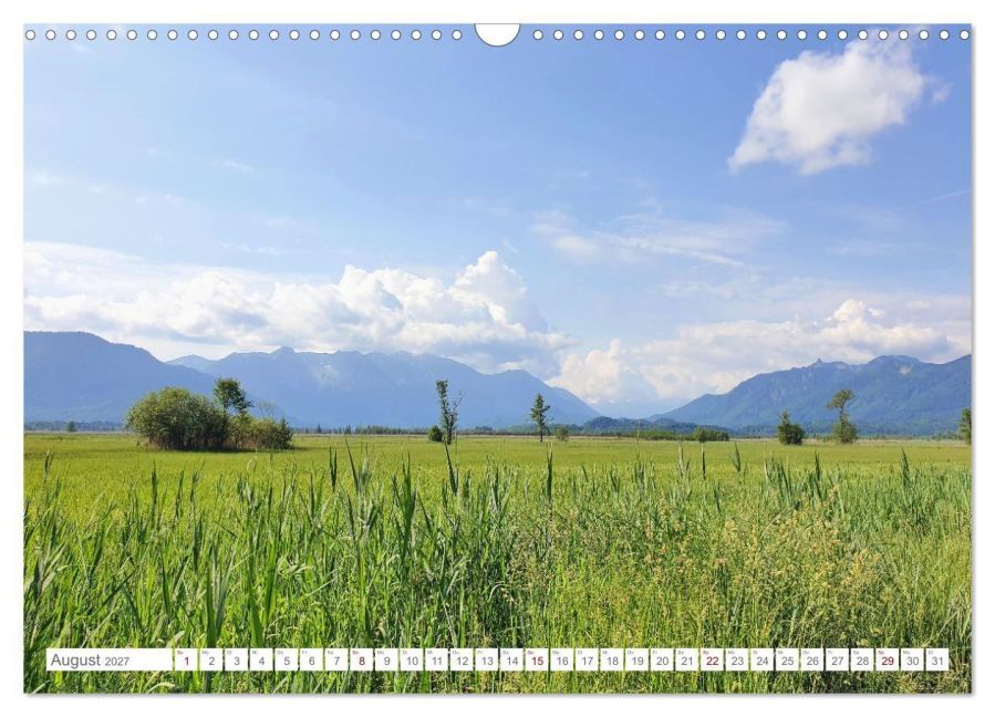 InsideView 13