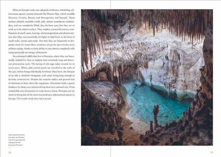 InsideView 4