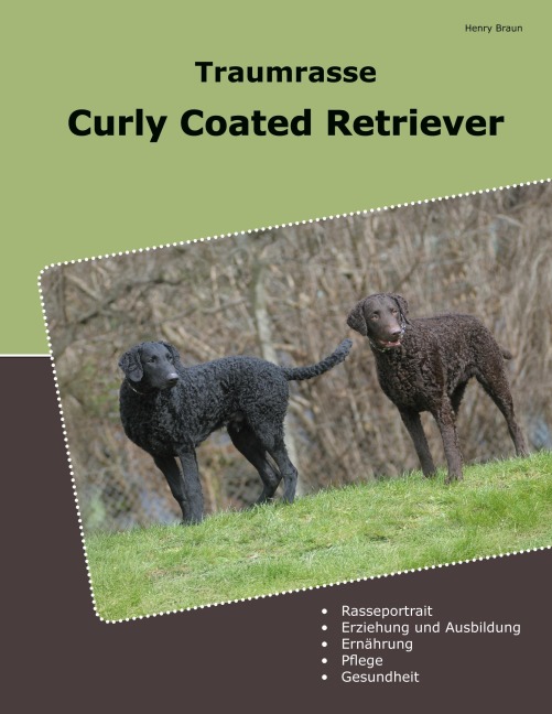 Traumrasse Curly Coated Retriever - Henry Braun