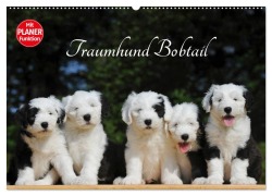Cover-Bild zum Titel 'Traumhund Bobtail (Wandkalender 2026 DIN A2 quer), CALVENDO Monatskalender' von 'Sigrid Starick'