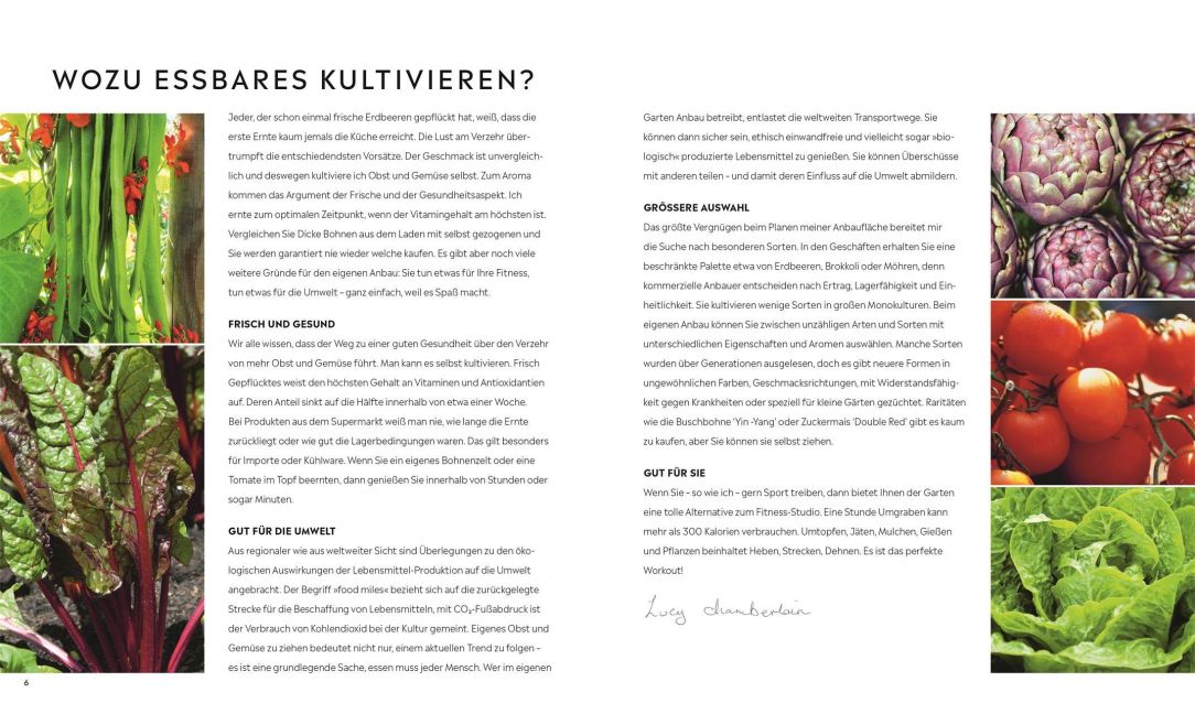 InsideView 2