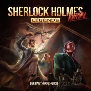 Cover-Bild zum Titel 'Der Hawthorne-Fluch' von 'Richard Schmetterer'