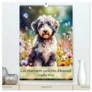 Les charmants caniches d'Aussied - Angelika Beuck (Calendrier mural 2026 DIN A2 horizontal) calendrier de bureau - Angelika Beuck