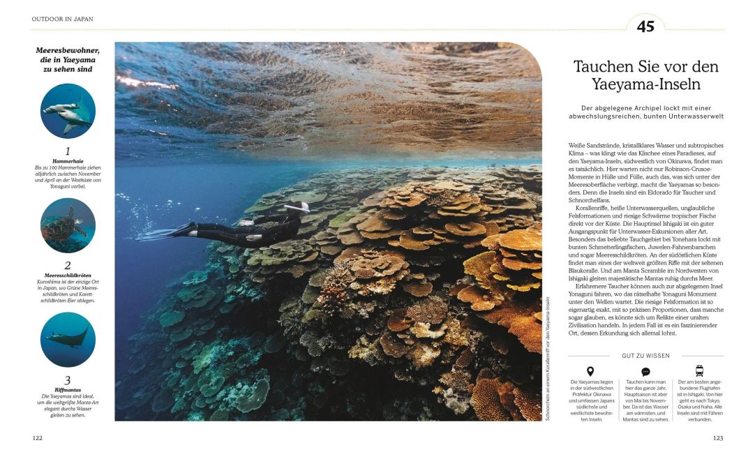 InsideView 6