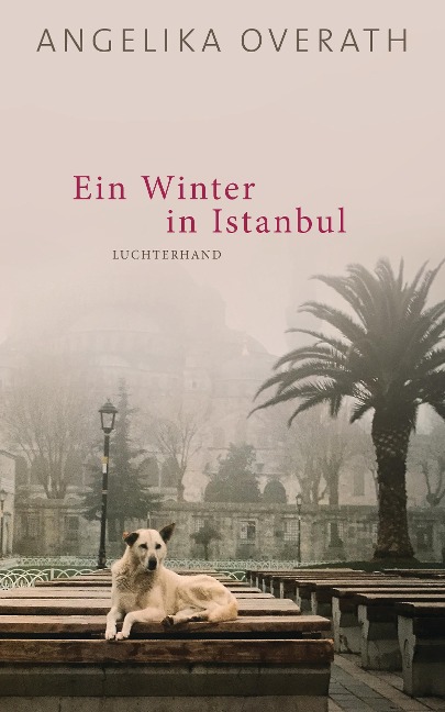 Ein Winter in Istanbul - Angelika Overath