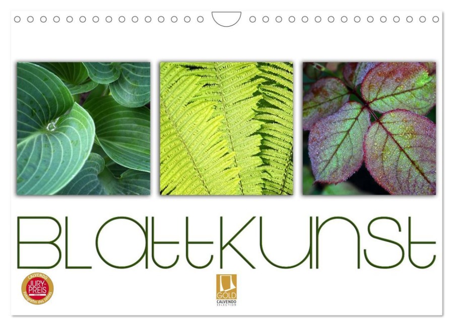 Blattkunst (Wandkalender 2025 DIN A4 quer), CALVENDO Monatskalender - Martina Cross