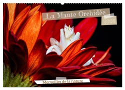 La Mante Orchidée (Calendrier mural 2026 DIN A2 vertical), CALVENDO calendrier mensuel - Roland Brack