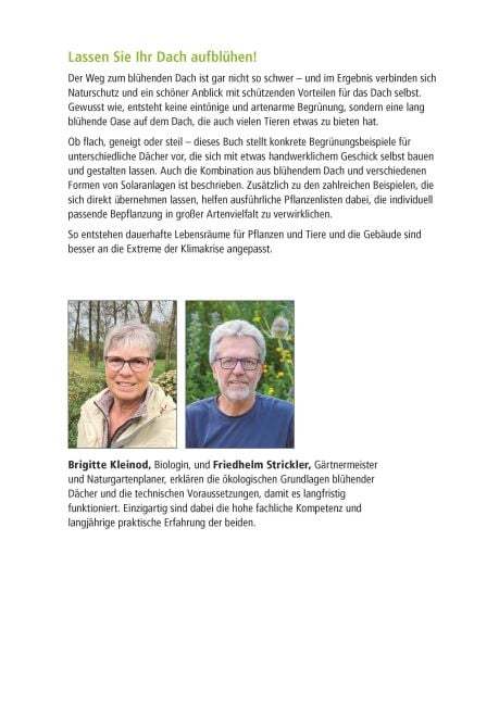 InsideView 1