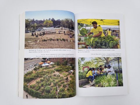 InsideView 8