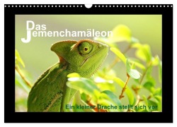 Cover-Bild zum Titel 'Das Jemenchamäleon (Wandkalender 2026 DIN A3 quer), CALVENDO Monatskalender' von 'Sigrun Düll'
