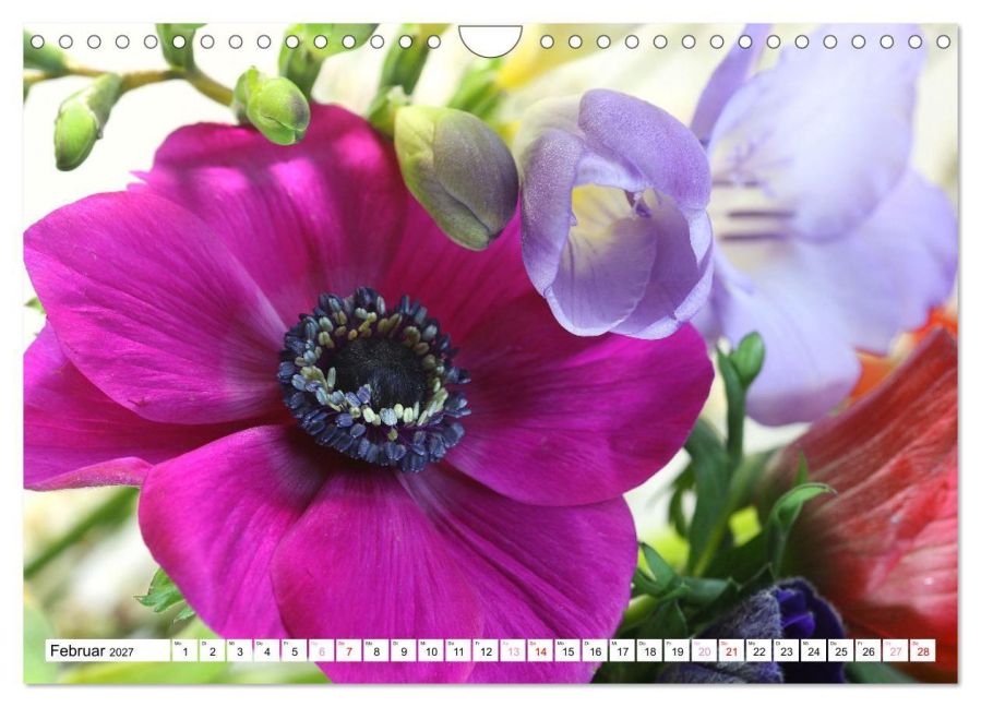 InsideView 7