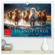 Cover-Bild zum Titel 'Islandpferde - Freiheit im Blick (hochwertiger Premium Wandkalender 2026 DIN A2 quer), Kunstdruck in Hochglanz' von 'Roder Roder'