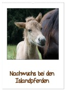 Cover-Bild zum Titel 'Nachwuchs bei den Islandpferden (Wandkalender 2026 DIN A2 hoch), CALVENDO Monatskalender' von 'Angelika Beuck'
