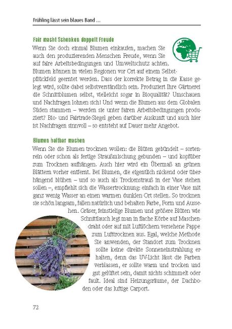 InsideView 3