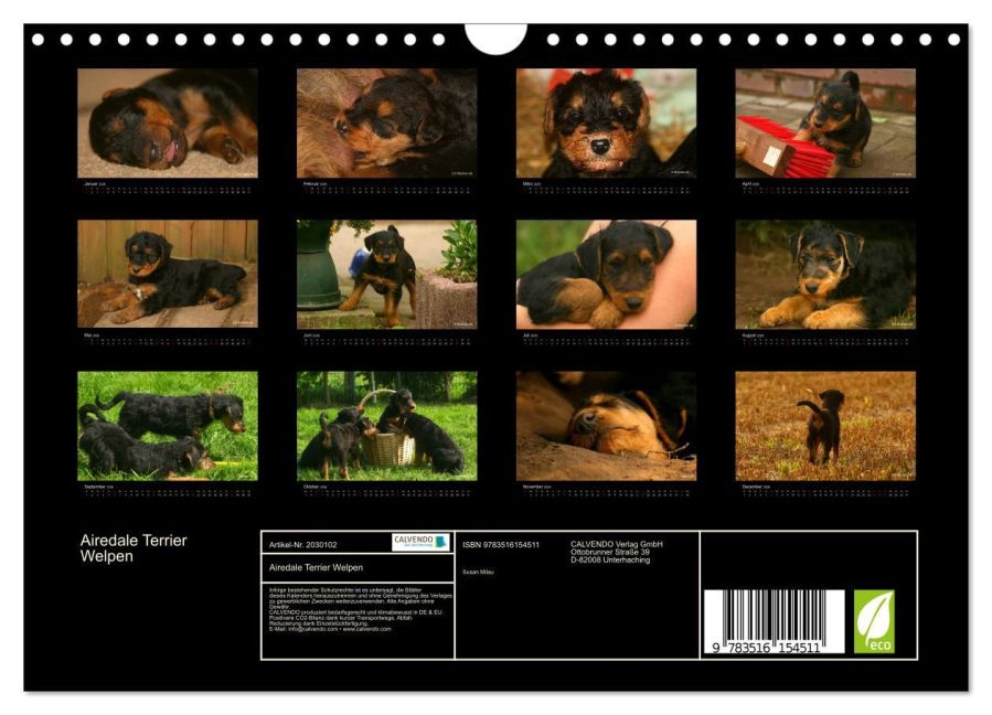 InsideView 5
