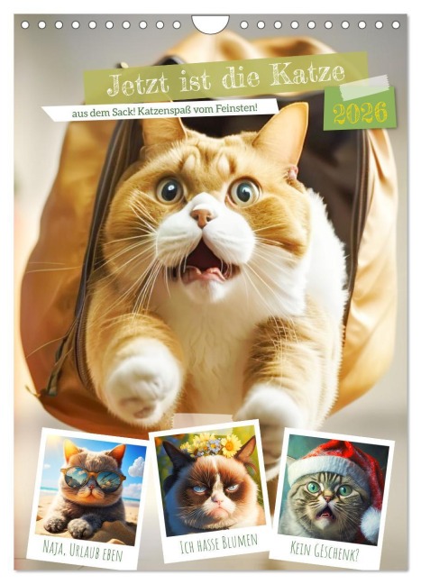 Jetzt ist die Katze aus dem Sack! Katzenspaß vom Feinsten! (Wandkalender 2026 DIN A4 hoch), CALVENDO Monatskalender - Rose Hurley