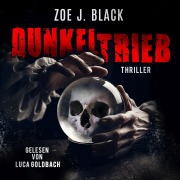 Cover-Bild zum Titel 'Dunkeltrieb' von 'Zoe J. Black'