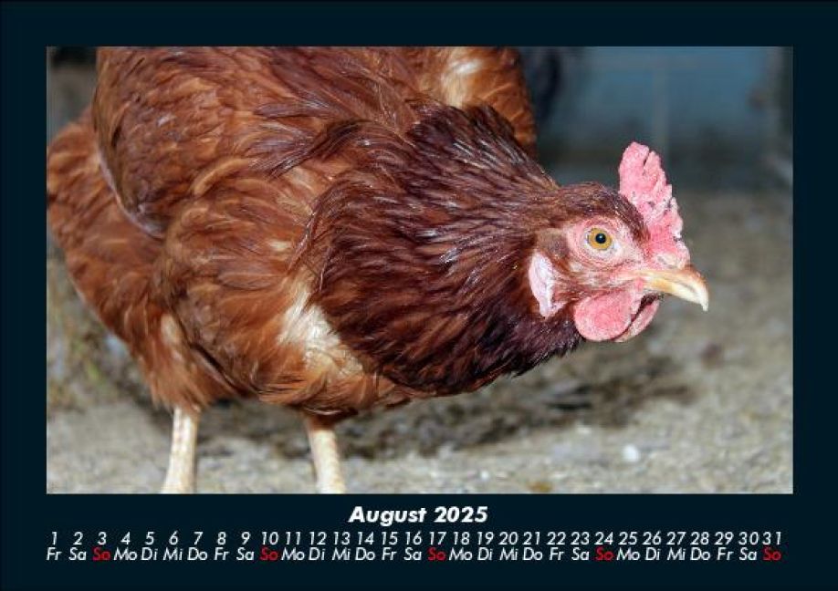 InsideView 12