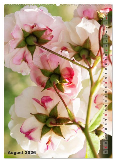 InsideView 12