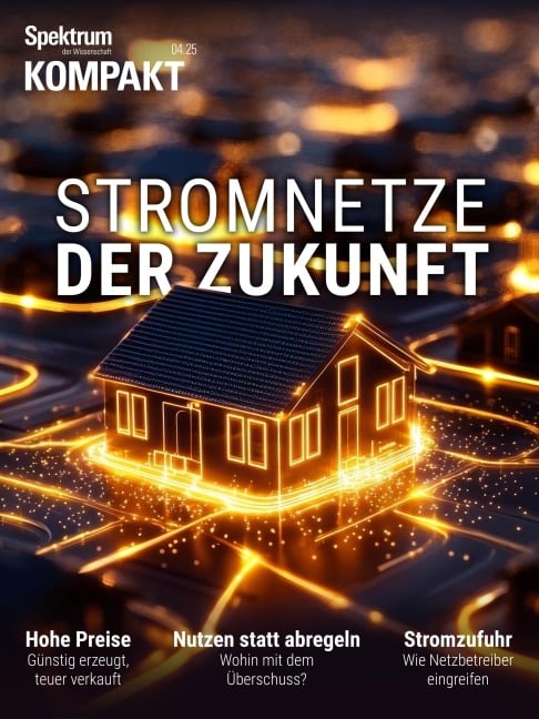 Spektrum Kompakt - Stromnetze der Zukunft - Spektrum der Wissenschaft
