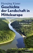 Cover-Bild zum Titel 'Geschichte der Landschaft in Mitteleuropa' von 'Hansjörg Küster'
