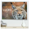 Raubkatze Luchs (hochwertiger Premium Wandkalender 2025 DIN A2 quer), Kunstdruck in Hochglanz - Peter Roder