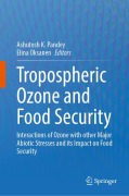 Cover-Bild zum Titel 'Tropospheric Ozone and Food Security' von ''