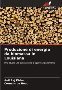 Cover-Bild zum Titel 'Produzione di energia da biomassa in Louisiana' von 'Anil Raj Kizha, Cornelis de Hoop'