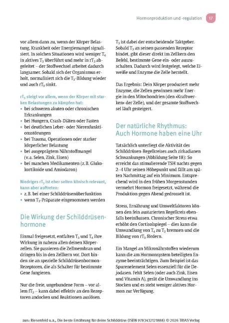 InsideView 13